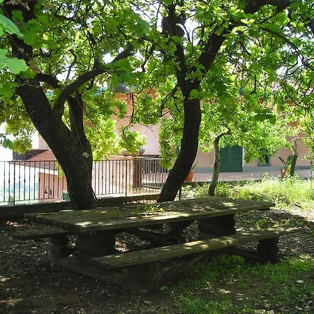 Dagala * Santa Venerina