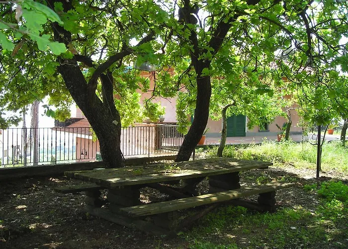 达加拉住宿加早餐旅馆 4* 圣韦内里纳